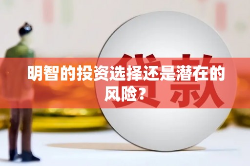 南山明智的投资选择还是潜在的风险？