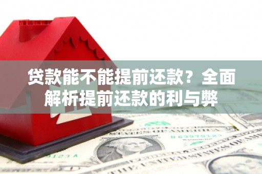 东平贷款能不能提前还款？全面解析提前还款的利与弊