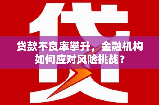 玛家贷款不良率攀升，金融机构如何应对风险挑战？