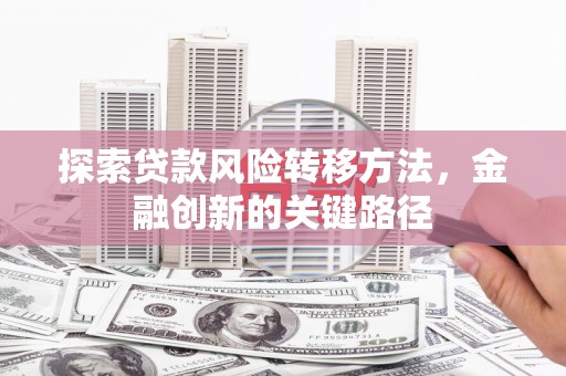 玛家探索贷款风险转移方法，金融创新的关键路径