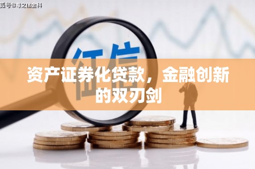 玛家资产证券化贷款，金融创新的双刃剑
