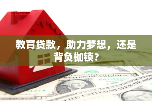 康平教育贷款，助力梦想，还是背负枷锁？