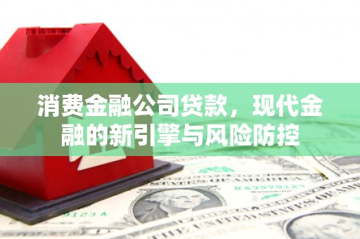 康平消费金融公司贷款，现代金融的新引擎与风险防控