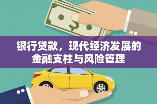 康平银行贷款，现代经济发展的金融支柱与风险管理