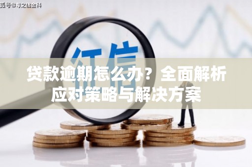澄江贷款逾期怎么办？全面解析应对策略与解决方案