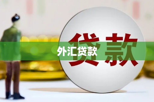 澄江外汇贷款