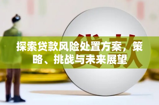 南城探索贷款风险处置方案，策略、挑战与未来展望