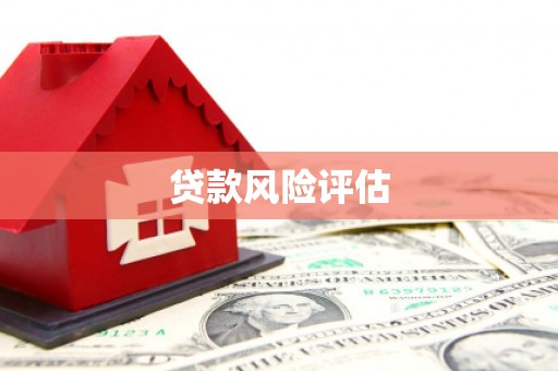 公馆贷款风险评估
