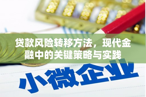 澄江贷款风险转移方法，现代金融中的关键策略与实践