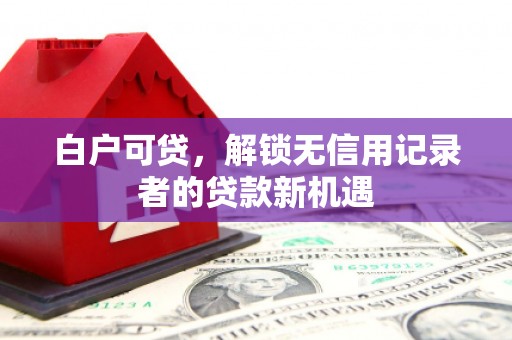 桥西白户可贷，解锁无信用记录者的贷款新机遇