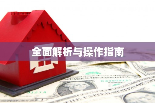 华龙全面解析与操作指南