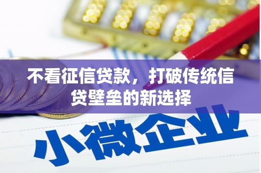 定边不看征信贷款，打破传统信贷壁垒的新选择