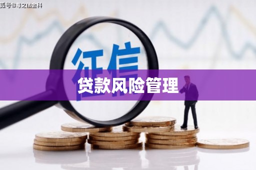 秦安贷款风险管理