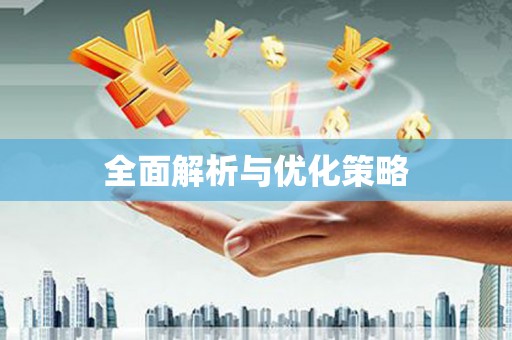 东坡全面解析与优化策略