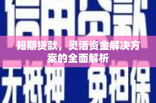 富宁短期贷款，灵活资金解决方案的全面解析