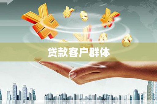 元宝贷款客户群体
