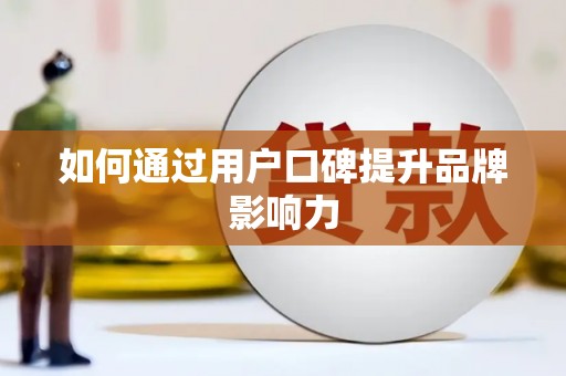 东坡如何通过用户口碑提升品牌影响力