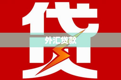 公主岭外汇贷款
