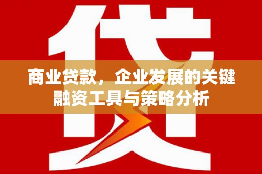 沙坪坝商业贷款，企业发展的关键融资工具与策略分析