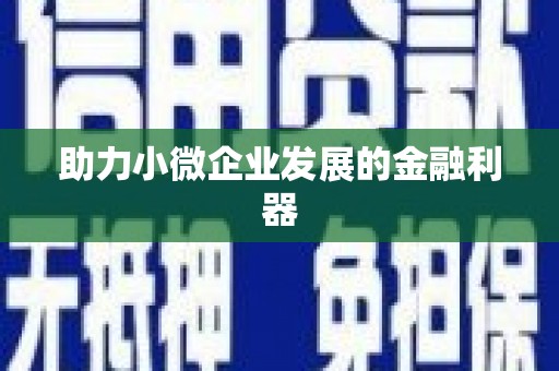 乃东助力小微企业发展的金融利器
