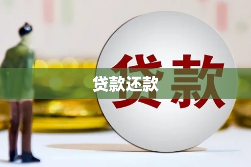 绿园贷款还款
