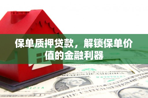 丹徒保单质押贷款，解锁保单价值的金融利器