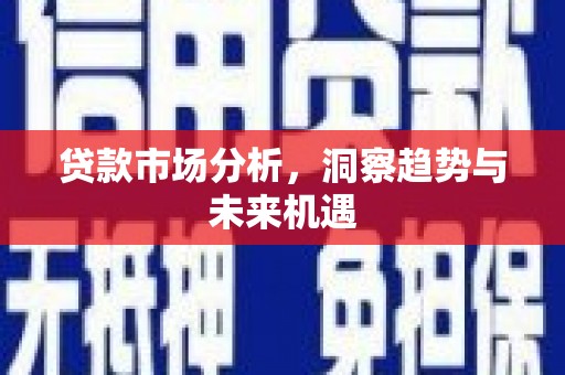 南部贷款市场分析，洞察趋势与未来机遇