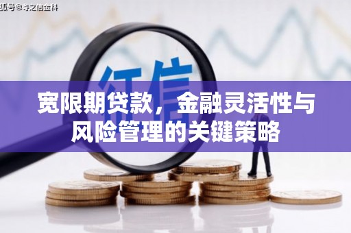 圣方济各堂区宽限期贷款，金融灵活性与风险管理的关键策略