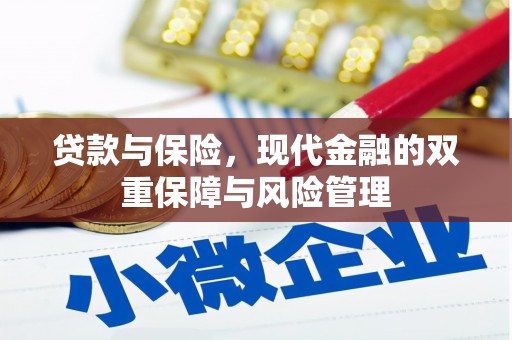 圣方济各堂区贷款与保险，现代金融的双重保障与风险管理