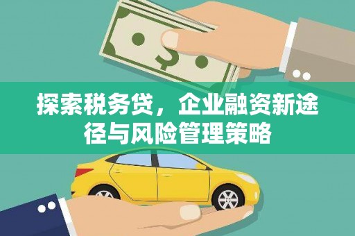 正镶白旗探索税务贷，企业融资新途径与风险管理策略