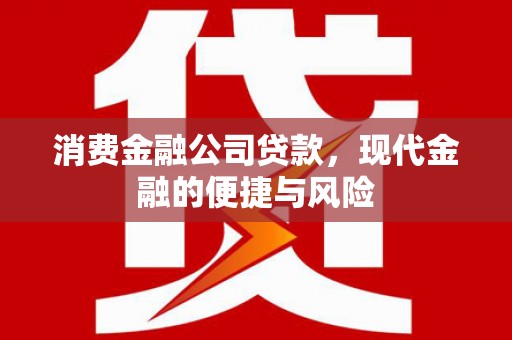 兴国消费金融公司贷款，现代金融的便捷与风险