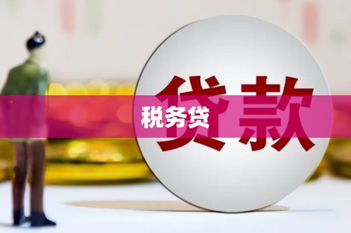 诏安税务贷