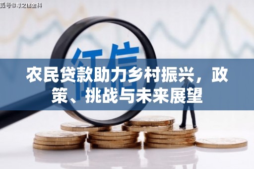 徐汇农民贷款助力乡村振兴，政策、挑战与未来展望