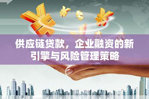 宁夏供应链贷款，企业融资的新引擎与风险管理策略