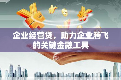 宁夏企业经营贷，助力企业腾飞的关键金融工具