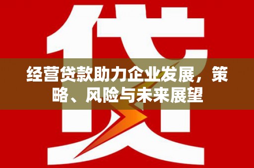 高唐经营贷款助力企业发展，策略、风险与未来展望