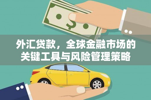竹南外汇贷款，全球金融市场的关键工具与风险管理策略