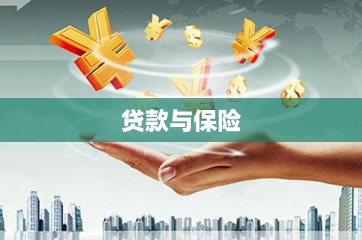 嵩县贷款与保险