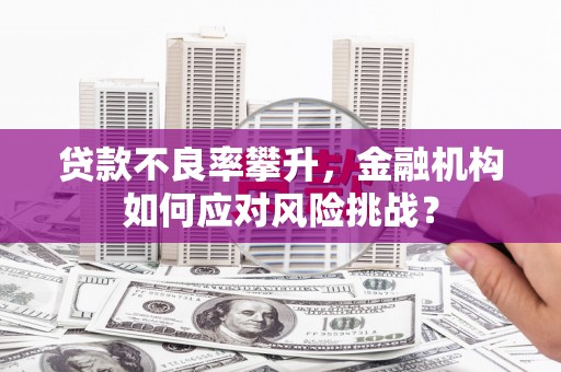 黑水贷款不良率攀升，金融机构如何应对风险挑战？