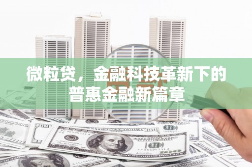 黑水微粒贷，金融科技革新下的普惠金融新篇章