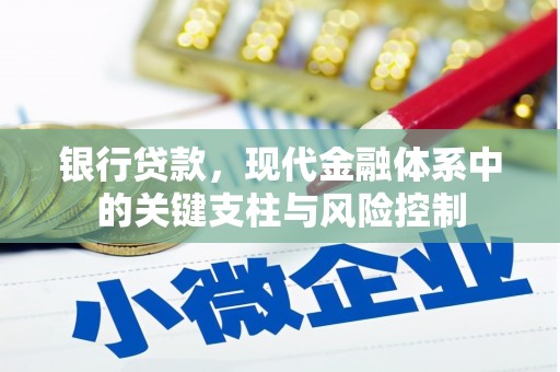 嵩县银行贷款，现代金融体系中的关键支柱与风险控制