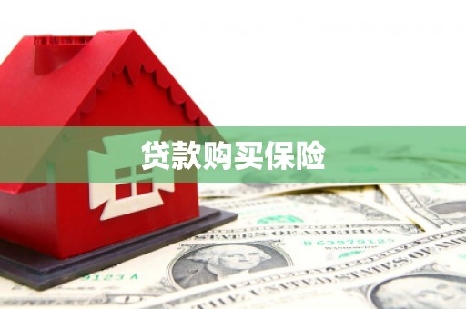 师宗贷款购买保险