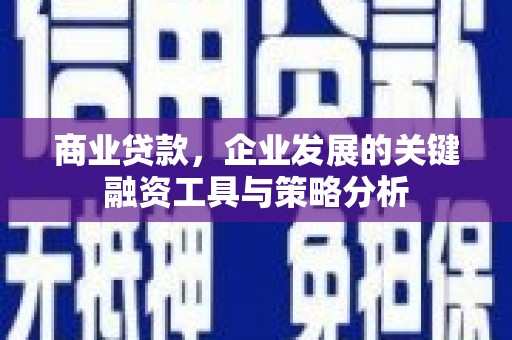 全南商业贷款，企业发展的关键融资工具与策略分析