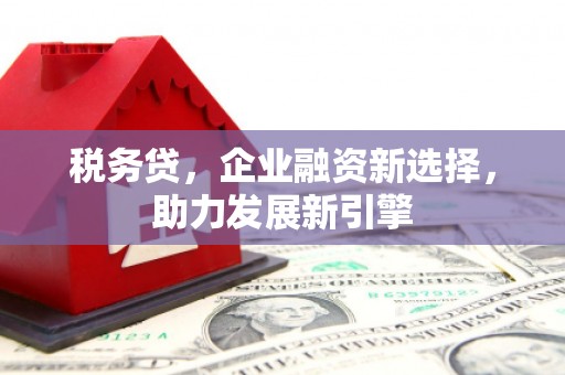 墨江税务贷，企业融资新选择，助力发展新引擎