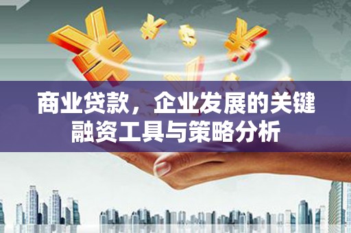 阆中商业贷款，企业发展的关键融资工具与策略分析