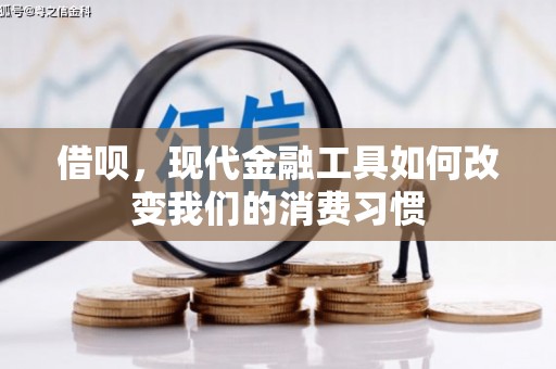 瀍河借呗，现代金融工具如何改变我们的消费习惯