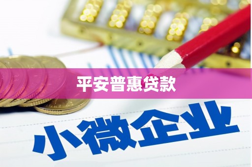 蓝山平安普惠贷款