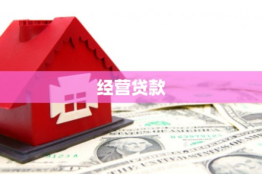 广西经营贷款