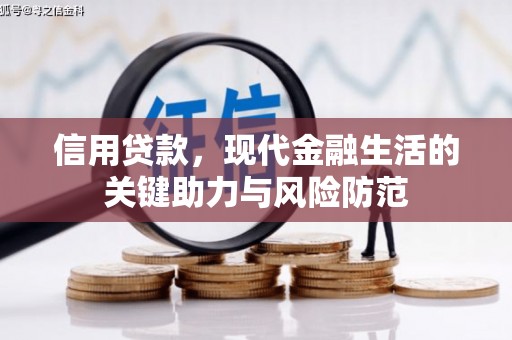 新野信用贷款，现代金融生活的关键助力与风险防范