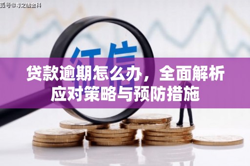 新野贷款逾期怎么办，全面解析应对策略与预防措施
